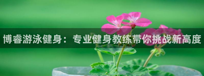 意昂2娱乐