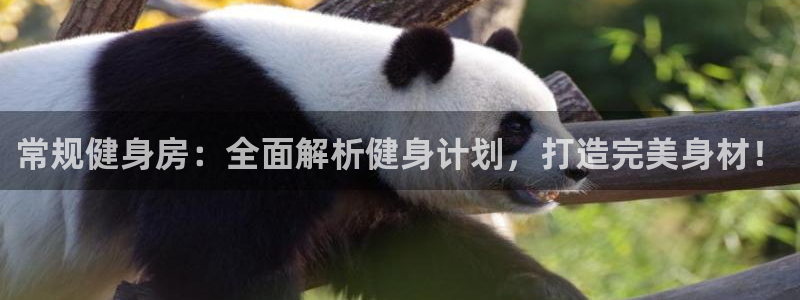 意昂2娱乐
