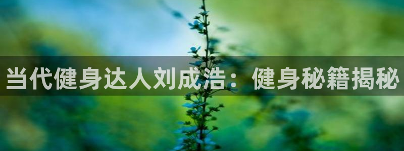 意昂2代理