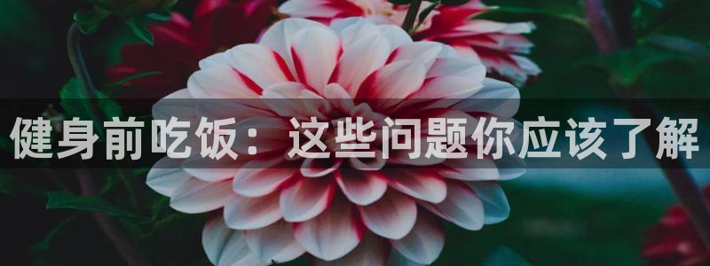 意昂2官方网站