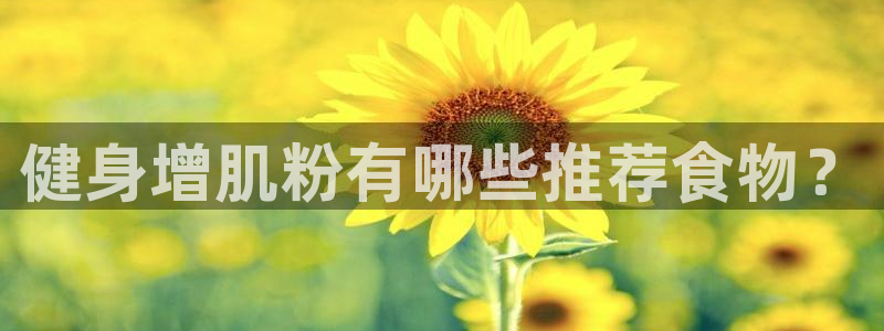 意昂2招商