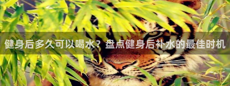 意昂2官方网站