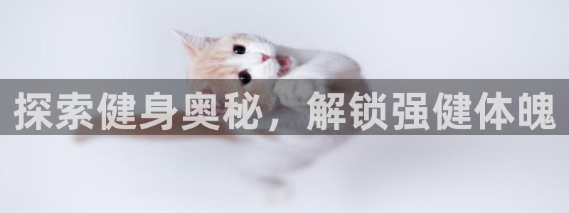 意昂2官方网站