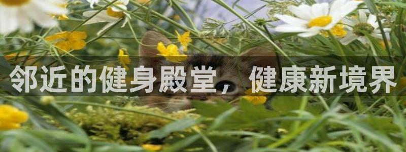 意昂2平台