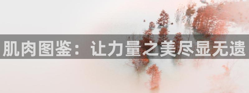 意昂2平台
