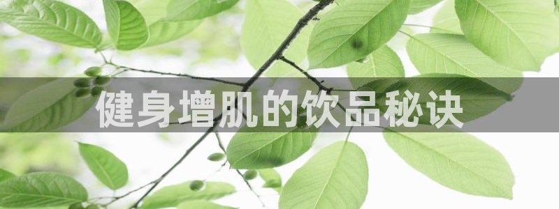 意昂2官网