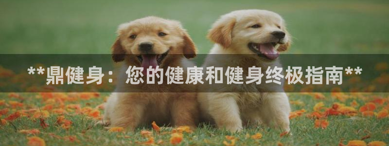 意昂2代理