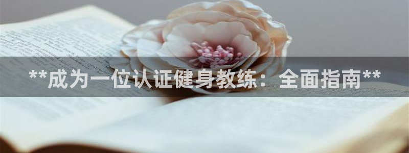意昂2招商