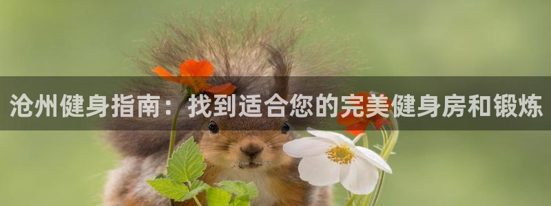 意昂2官方网站