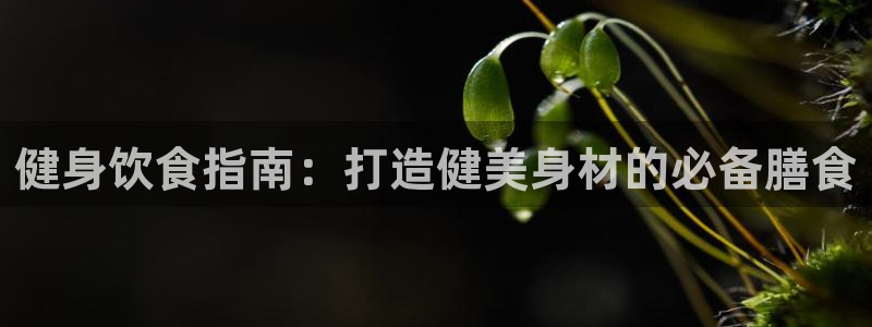 意昂2注册
