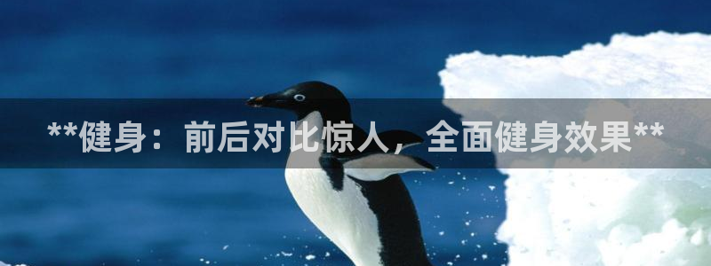 意昂2招商