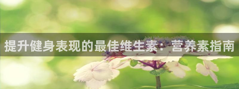 意昂2平台
