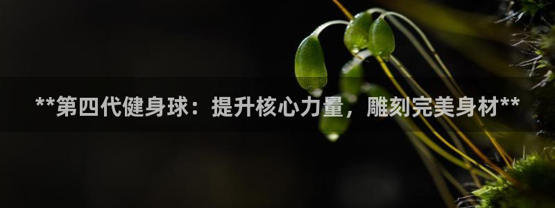 意昂2娱乐