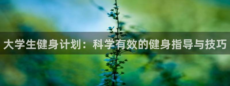 意昂2官方网站