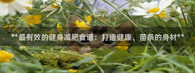 意昂2官方平台