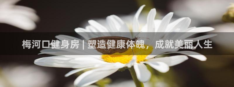 意昂2代理