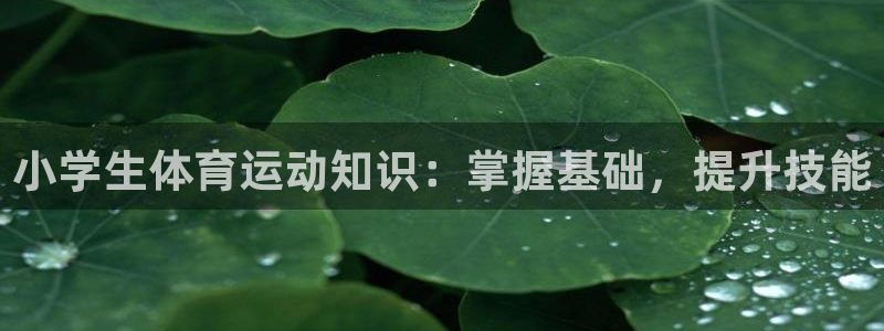 ug环球官网