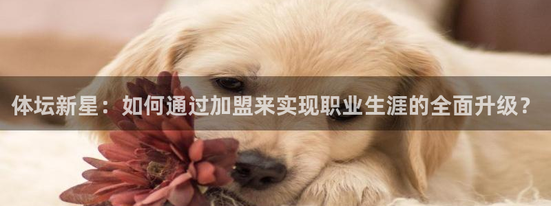 ug环球官网