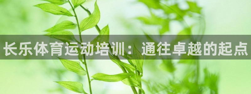 ug环球官网注册