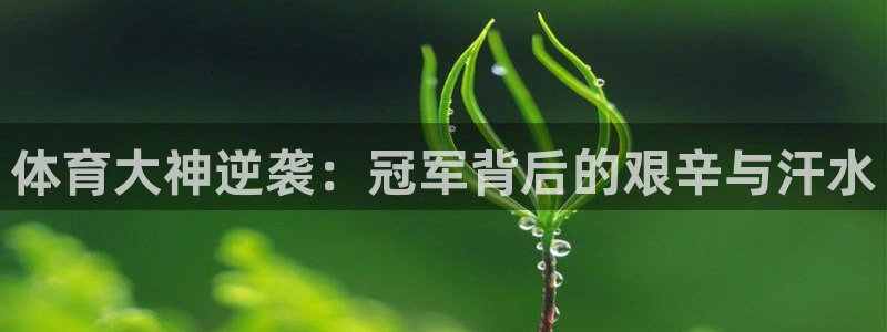 ug环球官网