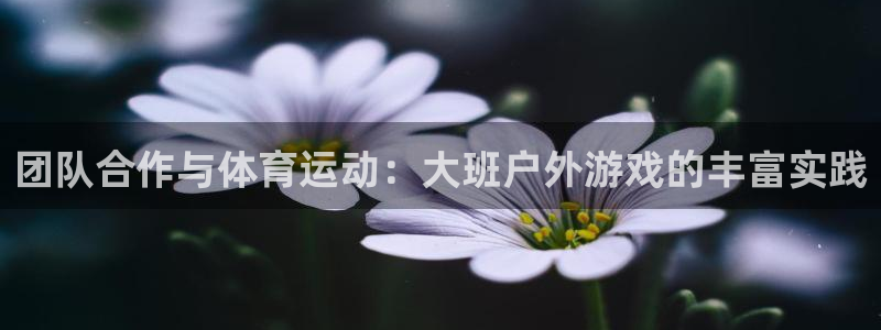 菲律宾ug环球官网