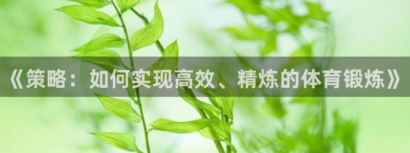 ug环球官网
