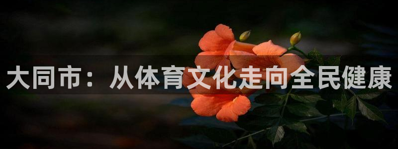 ug环球官网注册