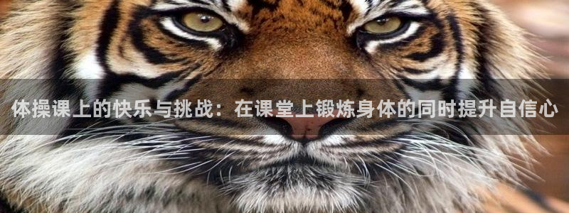 ug环球官网注册
