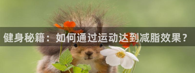 ug环球官网登录入口