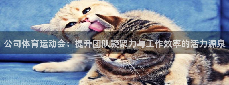 ug环球官网注册