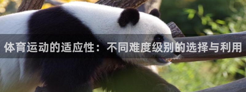 ug环球官网